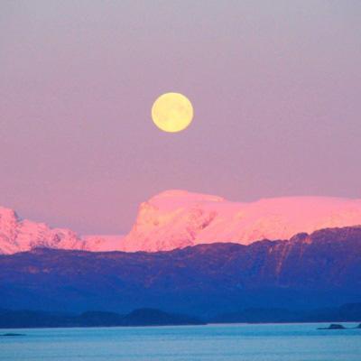 植物医生IPO：当品牌回归价值原点